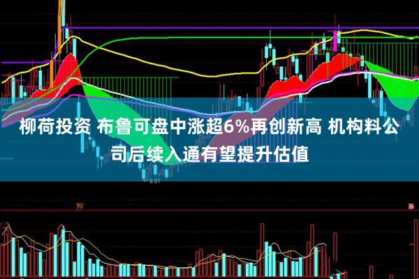 柳荷投资 布鲁可盘中涨超6%再创新高 机构料公司后续入通有望提升估值