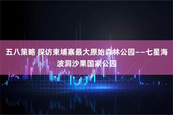 五八策略 探访柬埔寨最大原始森林公园——七星海波洞沙果国家公园