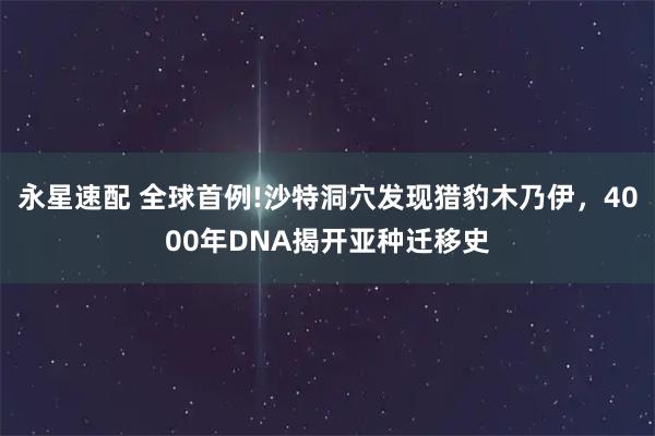 永星速配 全球首例!沙特洞穴发现猎豹木乃伊，4000年DNA揭开亚种迁移史